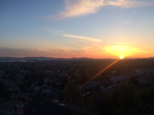 The view from Oakland hills over the bay